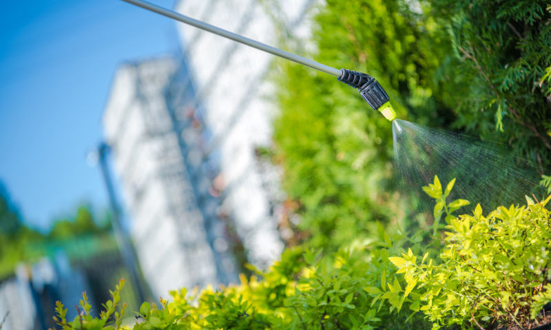 mantenimiento de jardines en guadalajara